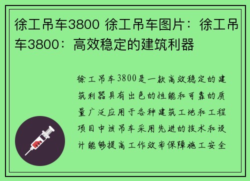 徐工吊车3800 徐工吊车图片：徐工吊车3800：高效稳定的建筑利器